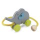 Elephant With Rope
